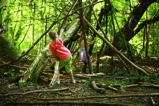 Mẹ Việt ở Canada: Nhìn cô giáo bình tĩnh chờ con xoay sở, tôi nhận ra cách giáo dục trẻ tốt nhất là mặc kệ con - Ảnh 3. Mẹ Việt ở Canada: Nhìn cô giáo bình tĩnh chờ con xoay sở, tôi nhận ra cách giáo dục trẻ tốt nhất là mặc kệ con - Ảnh 3.